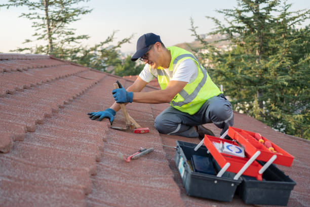 Best Emergency Roof Repair  in Cambridge, MN