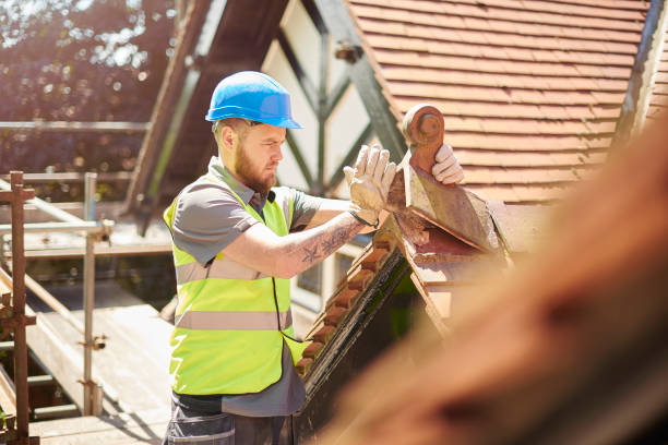 Roof Waterproofing Services in Cambridge, MN
