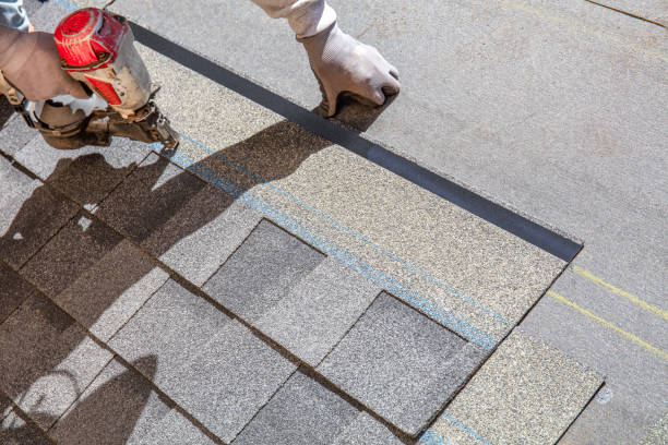 Best Metal Roofing Contractor  in Cambridge, MN