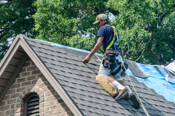Best New Roof Installation  in Cambridge, MN